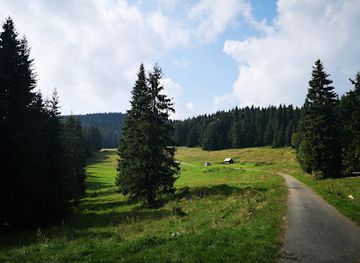 slovakia/muranska-planina-national-park/landmark/studna-na-muranskej-planine-1180-m