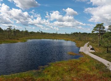 estonia/parnu-beach/landmark/soomaa-national-park