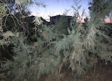 egypt/siwa-oasis/landmark/marzaa