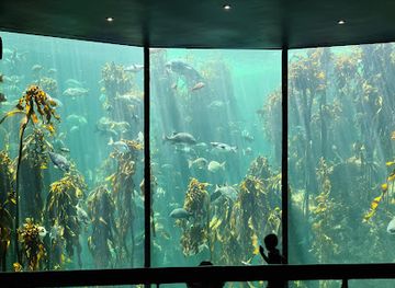 south-africa/western-cape/landmark/two-oceans-aquarium