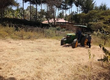 kenya/pokot-region/landmark/saiwa-swamp-national-park