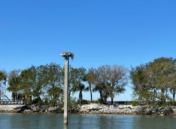 south-carolina/hilton-head-island/landmark/dolphin-discoveries-hilton-head