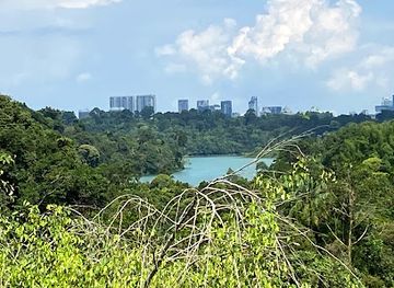 singapore/novena/landmark/jelutong-tower