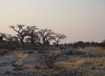 botswana/kgalagadi-transfrontier-park/landmark/kubu-island