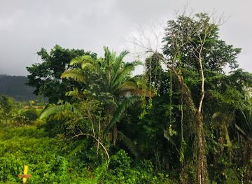 belize/stann-creek-district/landmark/angel-falls-belize