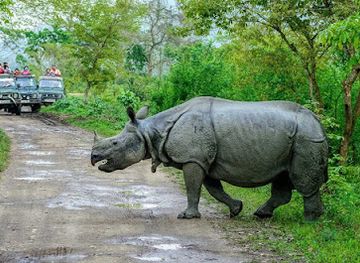 india/kaziranga-national-park/landmark/kaziranga-national-orchid-and-biodiversity-park
