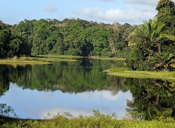 panama/colon/landmark/panama-rainforest-discovery-center