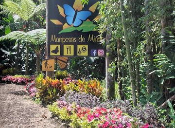 ecuador/mindo-cloud-forest/landmark/mariposario-mariposas-de-mindo