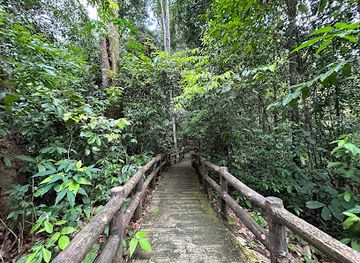 brunei/pulau-selirong-forest-reserve/landmark/bukit-patoi-recreational-park