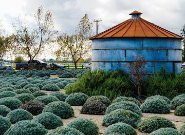 california/turlock/landmark/pageo-lavender-farm