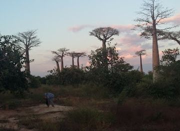 madagascar/masoala-national-park/landmark/reserve-speciale-d-andranomena