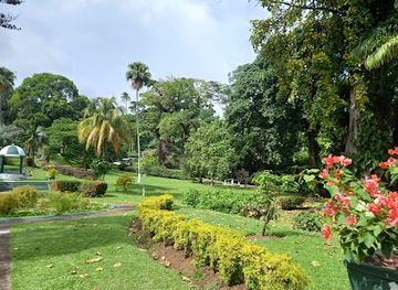saint-vincent-and-the-grenadines/saint-george/landmark/botanical-gardens