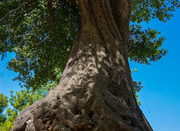 lebanon/al-shouf-cedar-nature-reserve/landmark/shouf-biosphere-reserve-jbaa-entrance