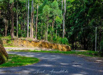 sri-lanka/horton-plains-national-park/landmark/udaveriya-estate