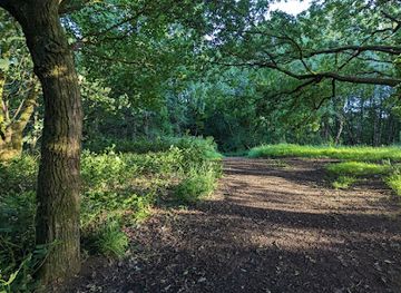 united-kingdom/lanarkshire/landmark/neilsland-park