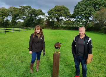 ireland/killarney-national-park/landmark/falconry-kerry-in-killarney