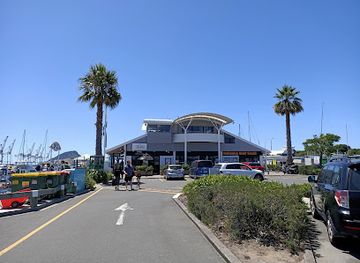 new-zealand/tauranga/landmark/dolphin-seafaris-nz-ltd