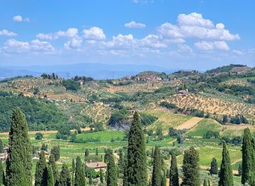 italy/valdarno/landmark/grape-tours-wine-tours-in-tuscany