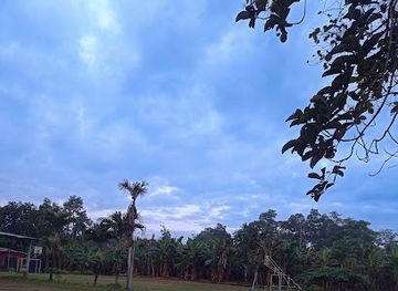 ecuador/santo-domingo-de-los-tsachilas-region/landmark/recinto-san-pedro-santo-domingo-de-los-tsachilas