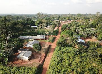 cameroon/grassfield-region/landmark/dja-faunal-reserve