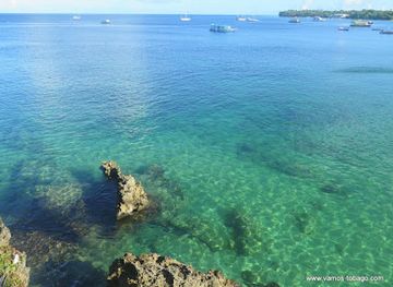 trinidad-and-tobago/buccoo-reef/landmark/store-bay