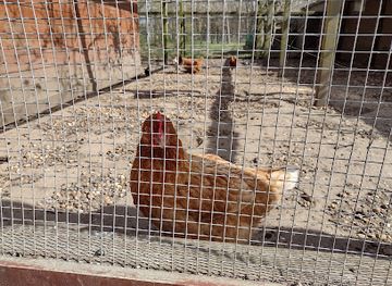 belgium/campine-kempen/landmark/domain-pietersheim