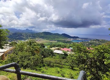 saint-lucia/castries-quarter/landmark/sky-rides-forest-tours