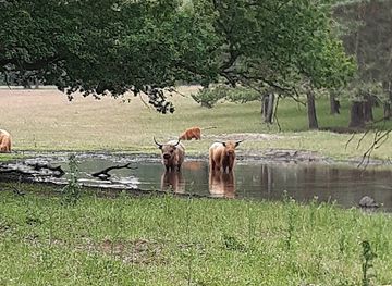 netherlands/hoge-veluwe-national-park/landmark/de-braak-nationaal-park-veluwezoom