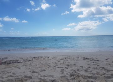 british-virgin-islands/anegada-beaches/landmark/pomato-point