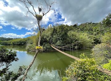 puerto-rico/la-cordillera-central/landmark/puente-de-hamaca-del-lago-garzas