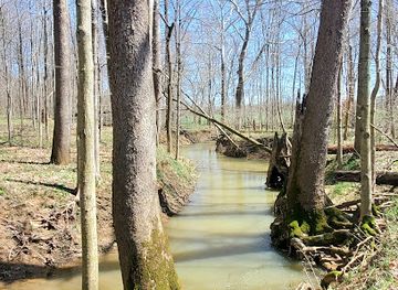 indiana/hoosier-national-forest/landmark/pioneer-mothers-memorial-forest
