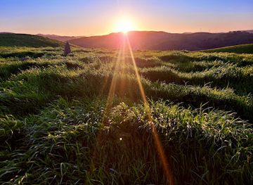 california/martinez/landmark/golden-labyrinth-martinez-public-art