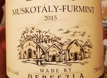 hungary/tokaj-wine-region/landmark/vinoteka-and-cellar-labyrint