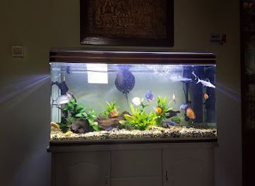 myanmar-burma/mandalay-region/landmark/amaravati-massage