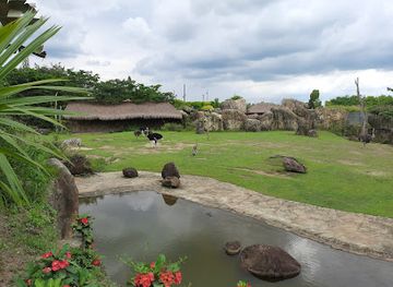 colombia/risaralda-department/landmark/ukumari-park