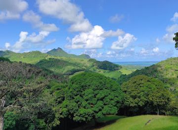 mauritius/black-river-gorges-national-park/landmark/la-vallee-de-ferney