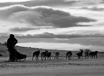 norway/finnmark/landmark/finnmarkslopet-as