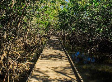 australia/northern-rivers/landmark/tweed-heads-historic-site