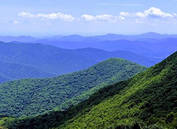 north-carolina/pisgah-national-forest/landmark/graybeard-mountain-view