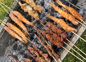 zambia/kitwe/landmark/siame-gardens