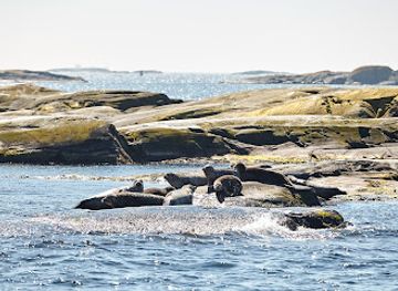 sweden/gothenburg-archipelago/landmark/kastor-boat-trips
