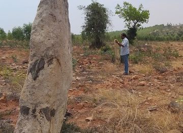 india/tamil-nadu/landmark/ancient-settlement-of-kannanur-menhir-stone-circle