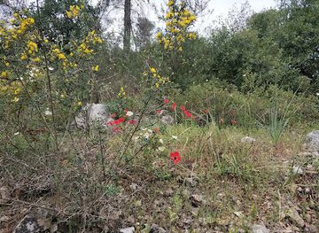 israel/shephelah/landmark/al-qabu