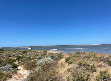 australia/coorong/landmark/jack-point-observatory-deck