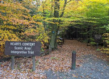 pennsylvania/allegheny-national-forest/landmark/hearts-content-recreation-site