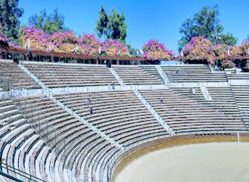 chile/rancagua/landmark/medialuna-de-rancagua