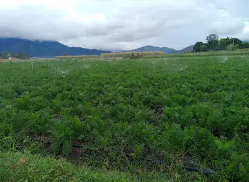 El Valle Encantado del Caribe Constanza