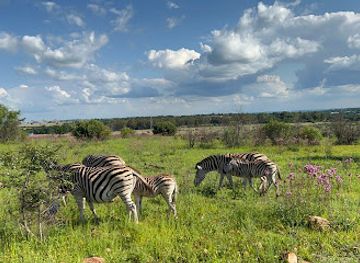south-africa/bushveld/landmark/groenkloof-nature-reserve