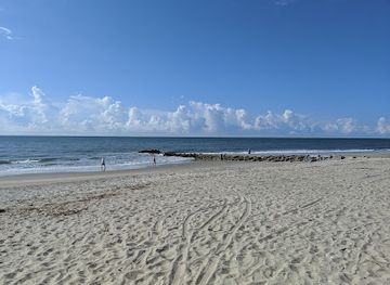 south-carolina/sea-islands/landmark/edisto-beach-state-park