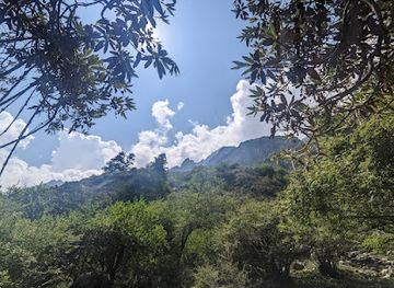 nepal/chitwan-national-park/landmark/langtang-national-park